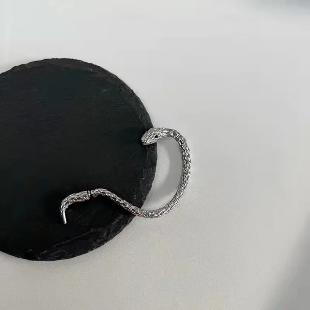 Snake Earhook Gothic Earring - Picture 4 of 7